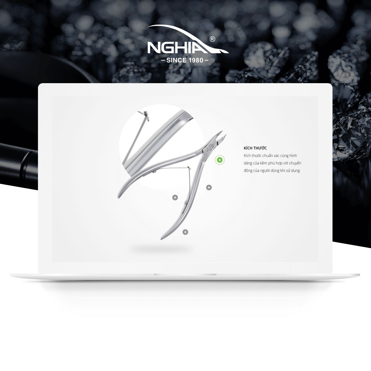 Nghia Nipper - Website